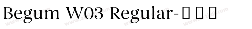 Begum W03 Regular字体转换